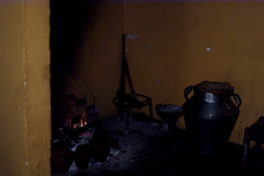 Queijo de Ovelha