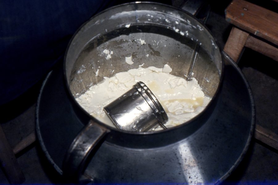 Queijo de Ovelha
