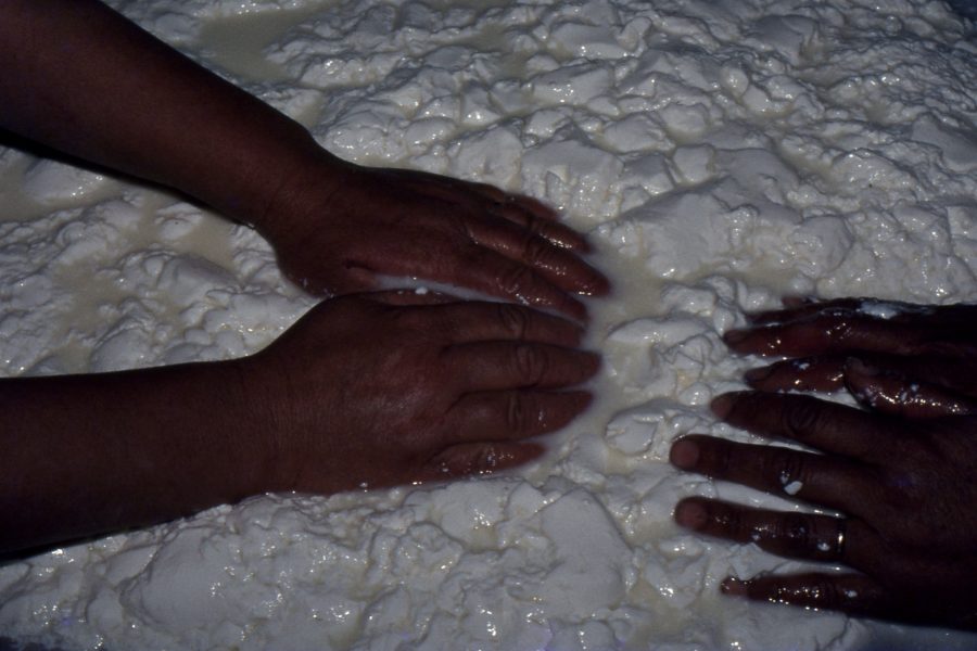 Queijo de Ovelha