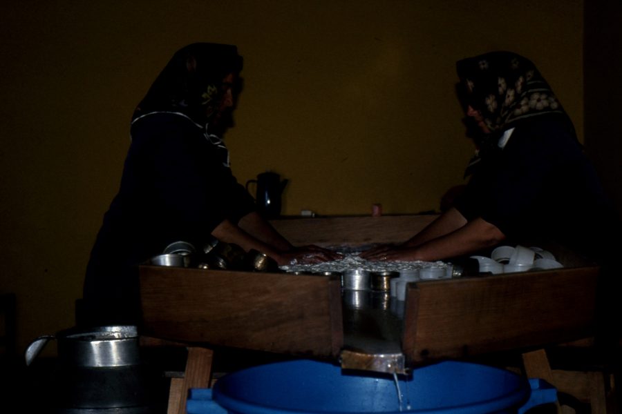 Queijo de Ovelha