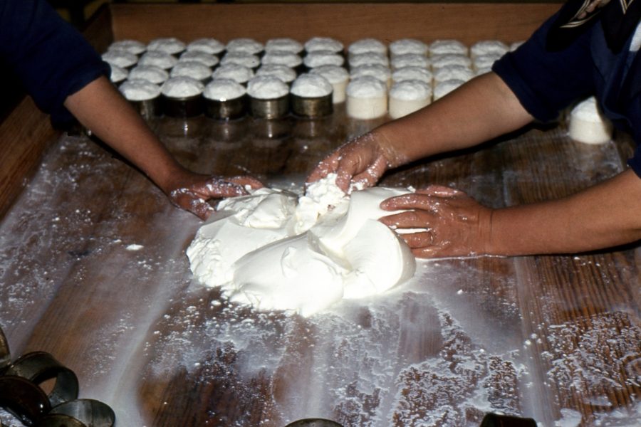 Queijo de Ovelha