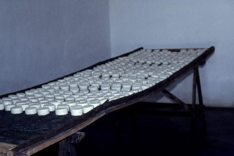 Queijo de Ovelha