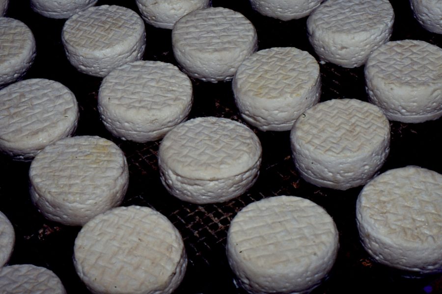 Queijo de Ovelha