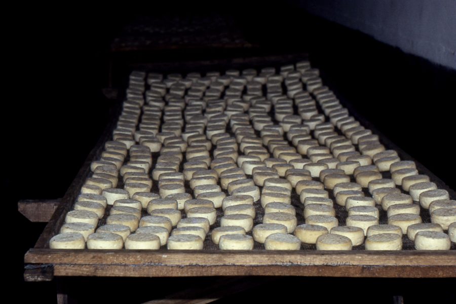 Queijo de Ovelha