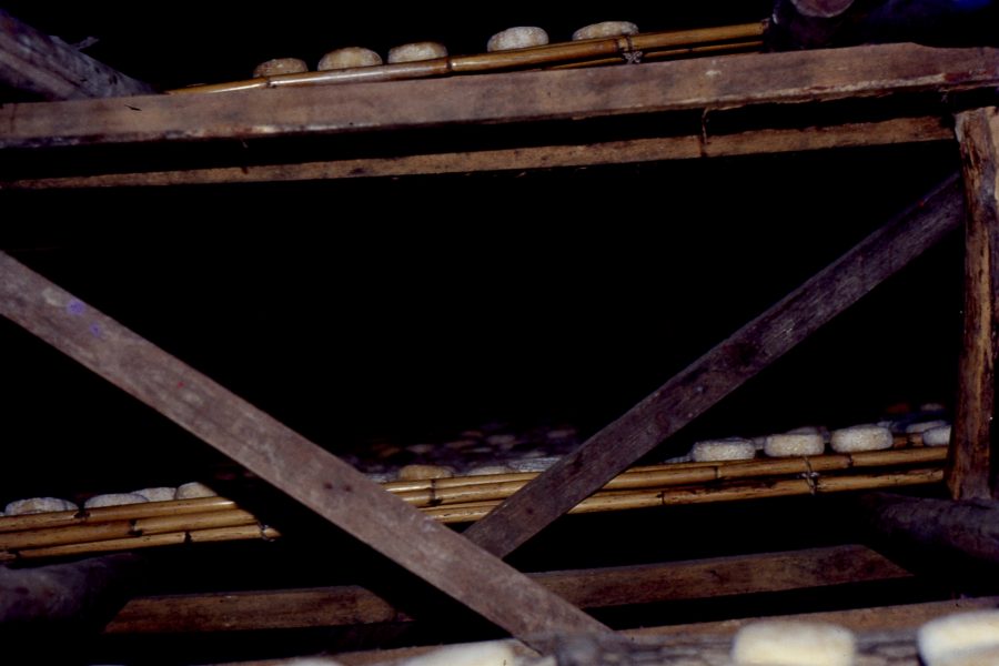 Queijo de Ovelha