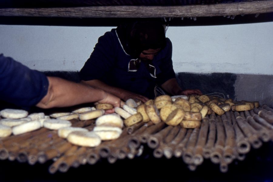 Queijo de Ovelha