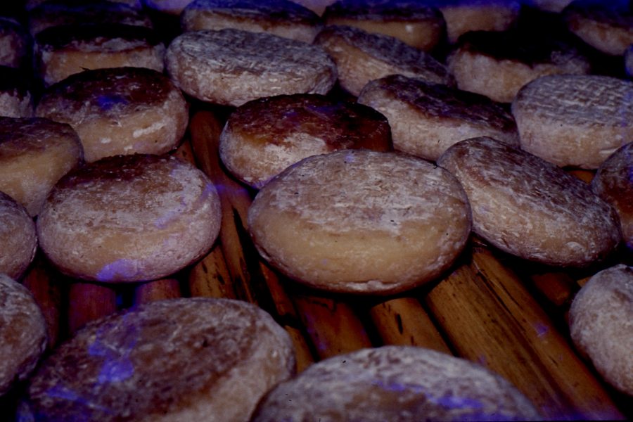 Queijo de Ovelha