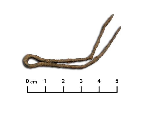 Pinça