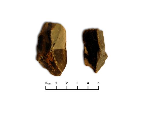Conjunto de lascas de sílex