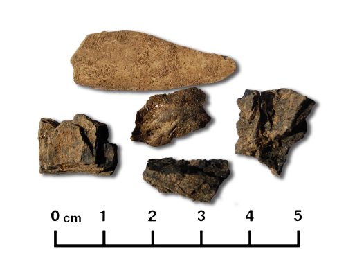 Conjunto de ossos carbonizados