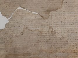 Subsídios documentais para a História de Montemor-o-novo (Século XVI)